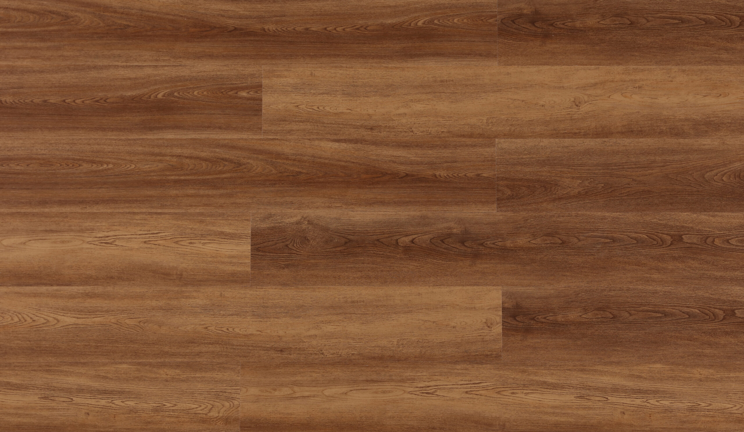 GOLDENOAK6.jpg Golden Oak - Image 1