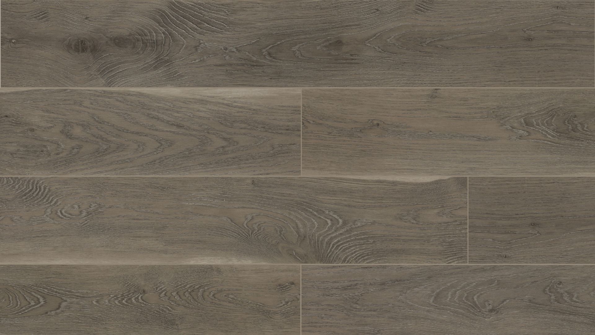 SILVER FOX Silver Fox - Image 1