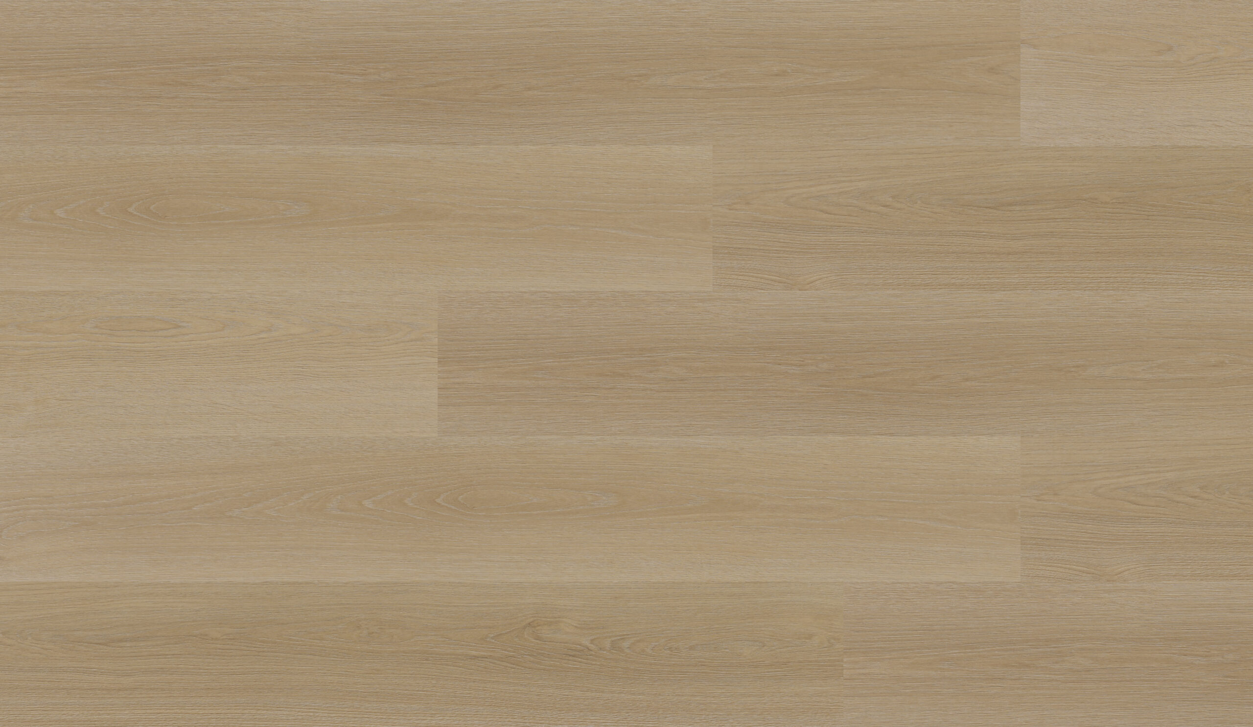 amber1.jpg Amber - Image 1