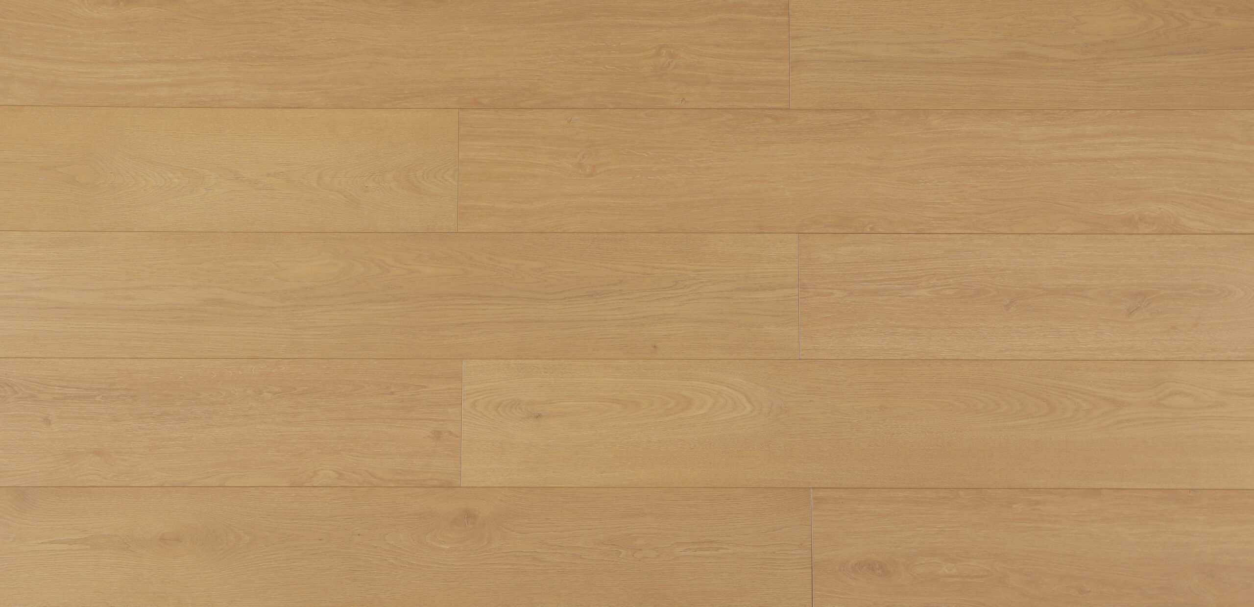 honeyglaze.jpg Honey Glaze - Image 1