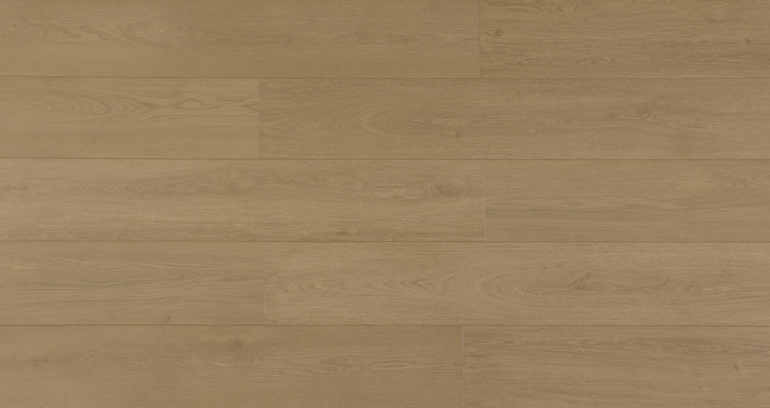 sandyoak.jpg Sandy Oak - Image 1