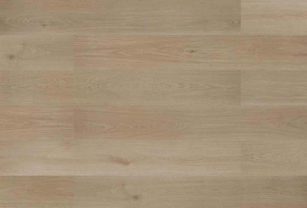 petrified oak (1) (1) Petrified Oak - Image 1