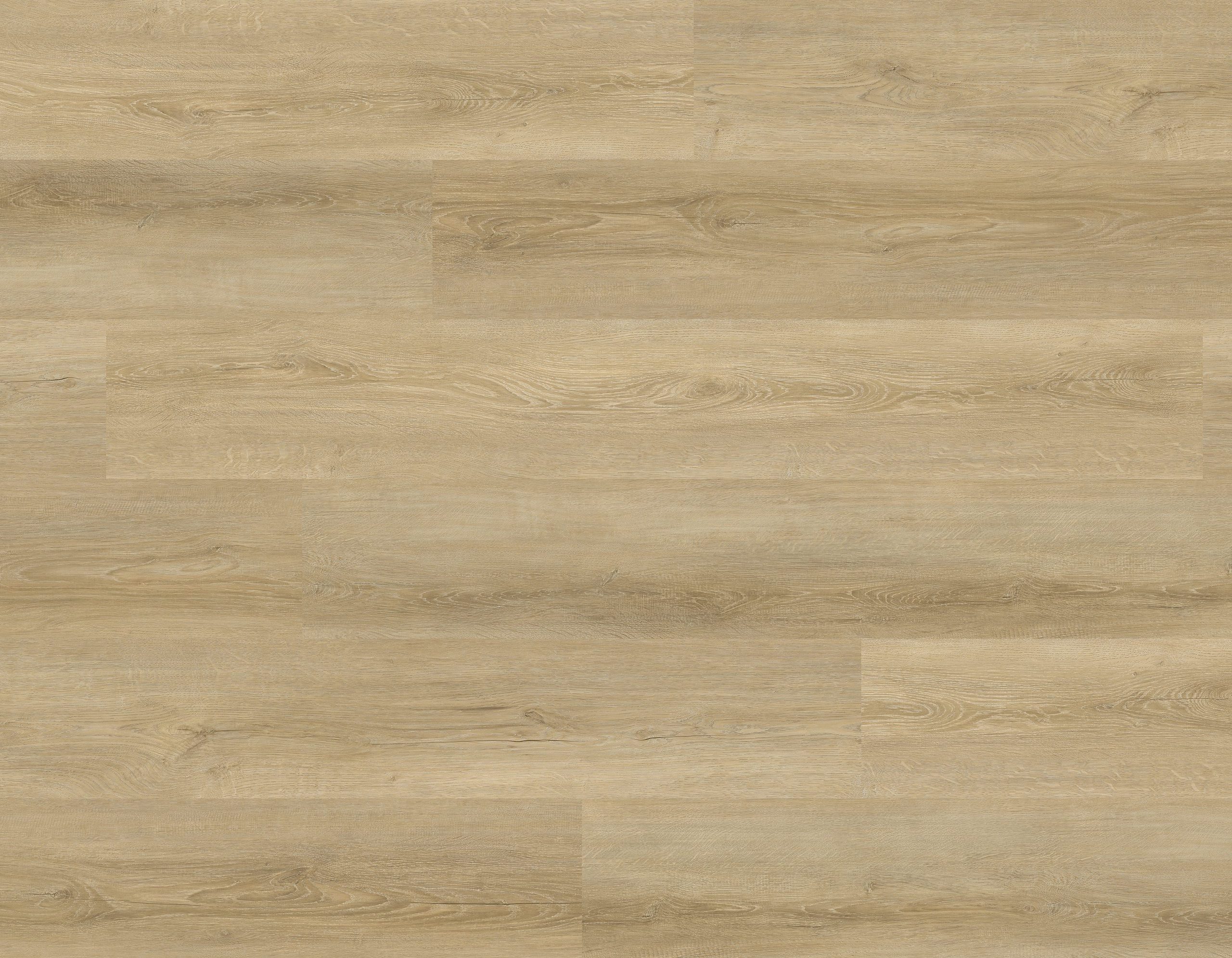 GOLDEN SEQUIO GLOW LAYOUT (2) Sequoia Glow - Image 1