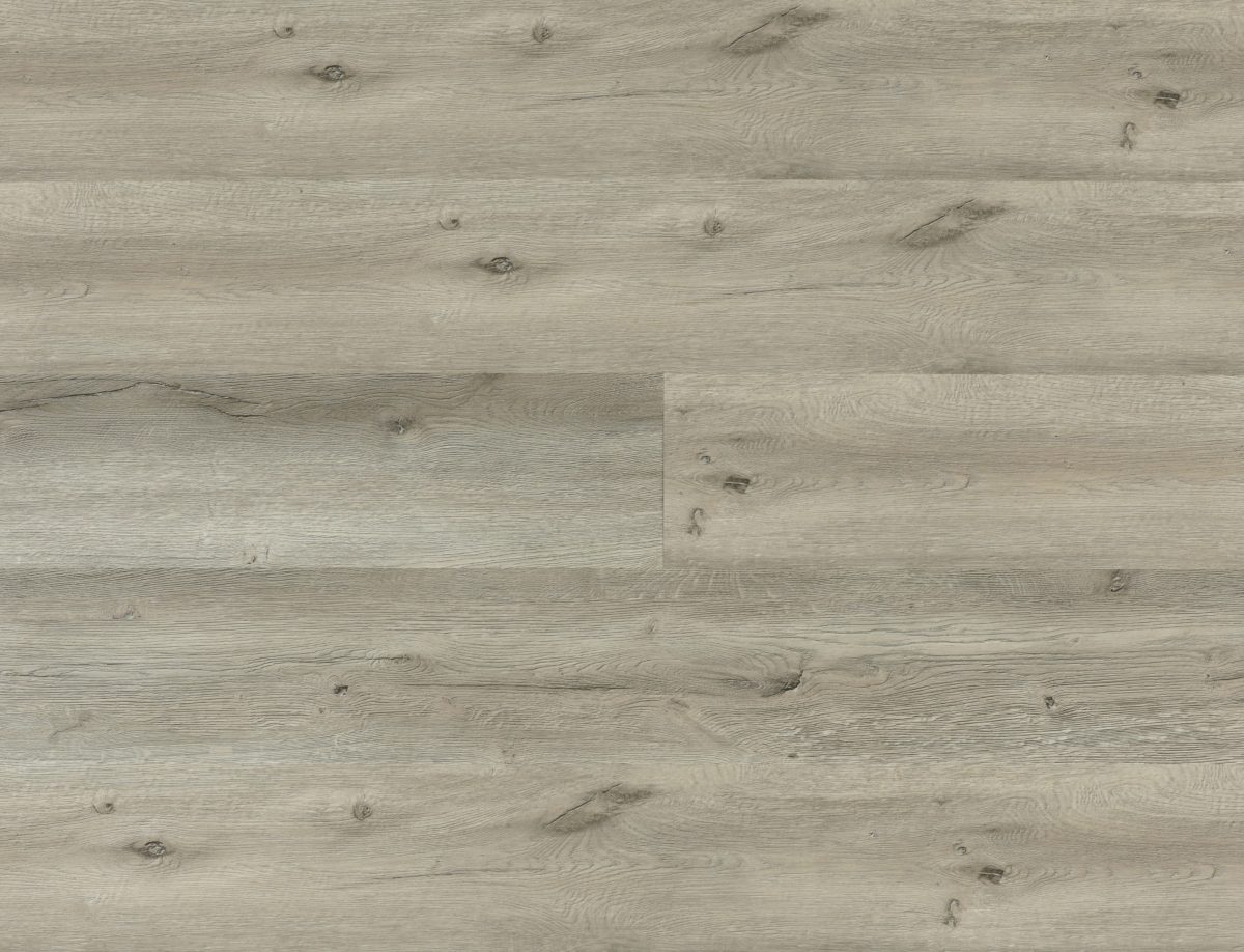 Dusty Trail - Image 1