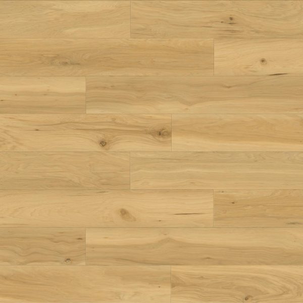 Drawbridge Wood