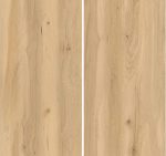 Sandstone - Image 5