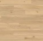 Sandstone